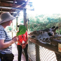 My mom feeding the giraffe